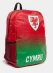 Детский рюкзак Team Football Backpack Wales