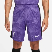 Мужская футболка с длинным рукавом Nike Liverpool FC 23/24 Dri-Fit Stadium Third Shorts