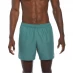 Мужские шорты Nike Core Swim Shorts Mens Bicostal