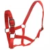Roma Headcollar and Lead Rope Set Red