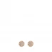 DKNY Crystal Embellished Stud Earrings Gold