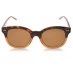 Женские солнцезащитные очки Calvin Klein CK4354 Sunglasses Havana Brown