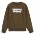 Мужской свитер Levis 1st Batwing Logo Sweatshirt Babies Dark Olive