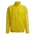 Чоловіча куртка adidas PRE JKT  Yellow/White