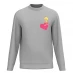 Warner Brothers WB Tweetie Pie Valentines Sweater Grey