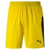 Мужские шорты Puma Liga Shorts Yellow/Blck