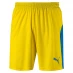 Мужские шорты Puma Liga Shorts Yellow/Blue