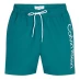 Calvin Klein Large Logo Swim Shorts Green
