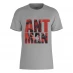 Marvel Marvel Ant Man Typography T-Shirt Grey