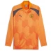 Puma Manchester City Pre Match Sweat T-shirt 2023 2024 Adults Orange/Grey