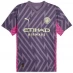 Мужская футболка с коротким рукавом Puma Manchester City Goalkeeper Shirt 2023 2024 Adults Purple