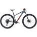 Cube Analog 2023 Mountain Bike Flash Grey 23