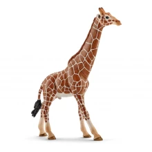 Дитяча іграшка Schleich Wild Life Male Giraffe Toy Figure