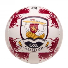 Team County GAA Ball