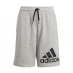 Мужские шорты adidas BL Fleece Shorts Junior Boys Grey/Black