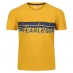 Детская футболка Regatta Bosley V Jn99 Yellow Gold