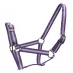 Roma Headcollar and Lead Rope Set Purple/Silver