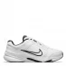 Чоловічі кросівки Nike Defy All Day Men's Training Shoe White/White