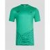 Мужская футболка с коротким рукавом Castore Newcastle United Pre Match T Shirt 2023 2024 Adults Green/Black