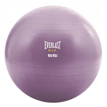 Everlast Stability Ball