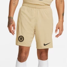 Детские шорты Nike Chelsea FC Third Shorts 2022/2023 Mens