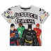 Детская футболка Character Hero Short Sleeve Tee for Boys DC Comics