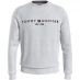 Чоловіча толстовка Tommy Hilfiger Logo Crew Sweatshirt Grey P01