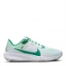 Чоловічі кросівки Nike Air Zoom Pegasus 40 PRM Men's Road Running Shoes White/Green