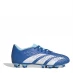 Мужские бутсы adidas Predator Accuracy.4 Firm Ground Football Boots Blue/White