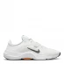 Чоловічі кросівки Nike In-Season TR 13 Men's Training Shoes Silver/White
