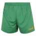 Мужские шорты ONeills Mourne Shorts Senior Green/Amber