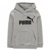 Детская толстовка Puma No1 OTH Hoodie Junior Girls Grey