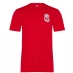 Мужской свитер Team LFC Polyester T Shirt Red
