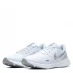Женские кроссовки Nike Revolution 5 Women's Running Shoe White/Silver