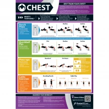 Sports Directory Chest Laminated A1 Poster