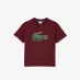 Детская футболка Lacoste Big Logo T- Shirt Junior Burgundy YUP