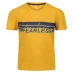 Мужская футболка с коротким рукавом Regatta Bosley V Jn99 Yellow Gold