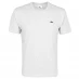 Мужская футболка с коротким рукавом Lacoste Logo T Shirt Light Grey CCA