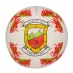 Team County GAA Ball Mayo
