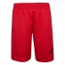 Мужские шорты Air Jordan Mesh Shorts Junior Boys Gym Red