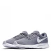 Мужские кроссовки Nike Tanjun Men's Shoe Grey/White