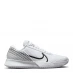 Чоловічі кросівки Nike Zoom Vapor Pro 2 Men's Hard Court Tennis Shoes White/White