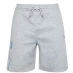 Мужские шорты US Polo Assn Sport Shorts Mens Grey HeatherG59