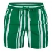 Мужские шорты United Colors of Benetton Colors Bx Pat Sn99 Green Stripe