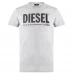 Мужская футболка с коротким рукавом Diesel Text Logo T Shirt Grey 912
