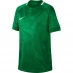 Детская футболка Nike Challenge 2 Short Sleeve Polo Shirt Juniors Green