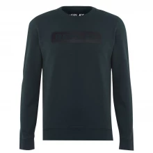 Мужской свитер Replay Logo Sweatshirt