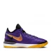 Чоловічі кросівки Nike LeBron NXXT Gen Basketball Shoes Purple/Black