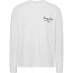 Tommy Jeans TJM REG LS LUXE TEE White