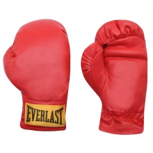 Everlast Boxing Gloves Junior